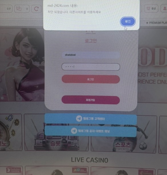 모델카지노.jpg